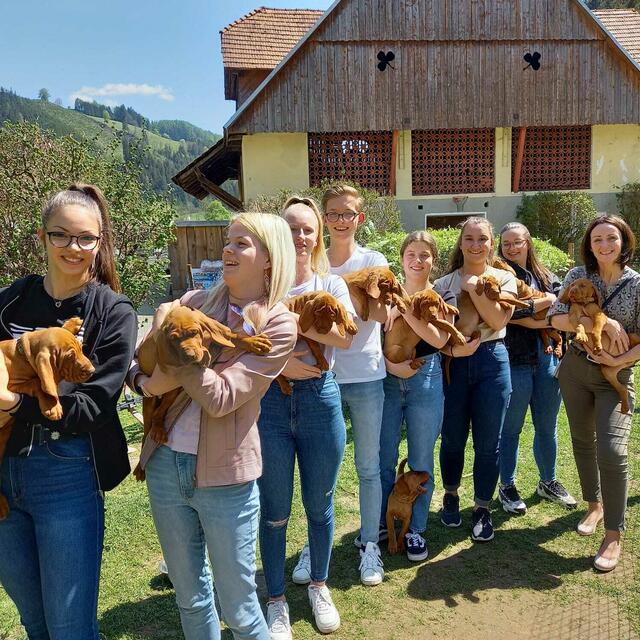 Am Rabingerhof der Familie Ratheiser haben es die Welpen den Schüler:innen besonders angetan.