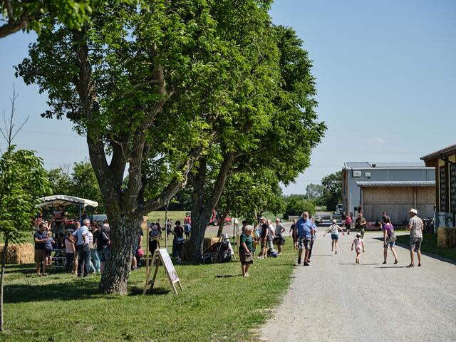 Foto: Michael Pinzolits