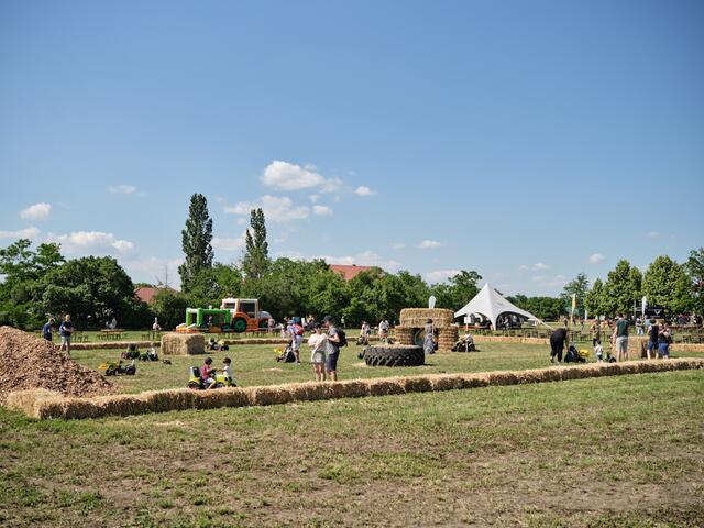 Foto: Michael Pinzolits