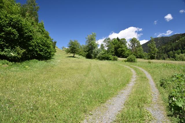 von hier aus geht es hinauf Richtung Brennsee
