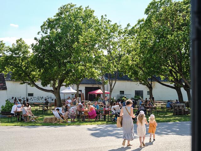 Zahlreiche Familien genossen bei Kaiserwetter das Angebot am Bio-Landgut. | Foto: Michael Pinzolits
