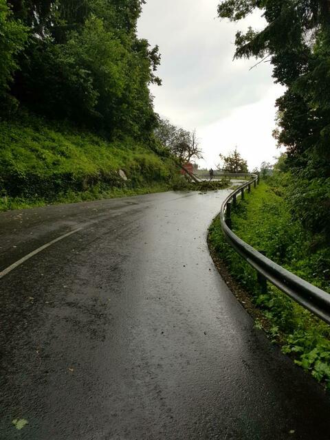 Foto: FF Wildbach