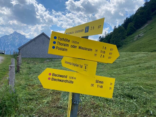 Niedergadenalm: Von hier aus kann man einfach wieder Richtung Gschwendt (dem Ausgangspunkt dieser Tour) absteigen und folgt dabei weitgehend der Niedergadenstraße, oder sogar auf das Postalm-Plateau mit Thoralm &amp; Co aufsteigen.