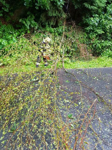 Foto: FF Wildbach