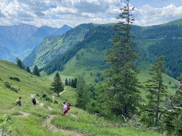 Lässiger Wanderweg, der auf die Niedergadenalm führt.
