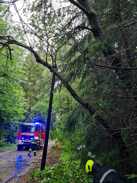 Foto: FF Gressenberg