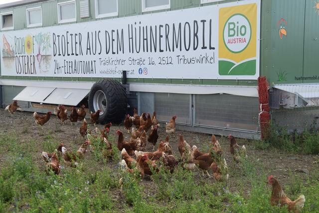 Foto: Katrin Pirzl