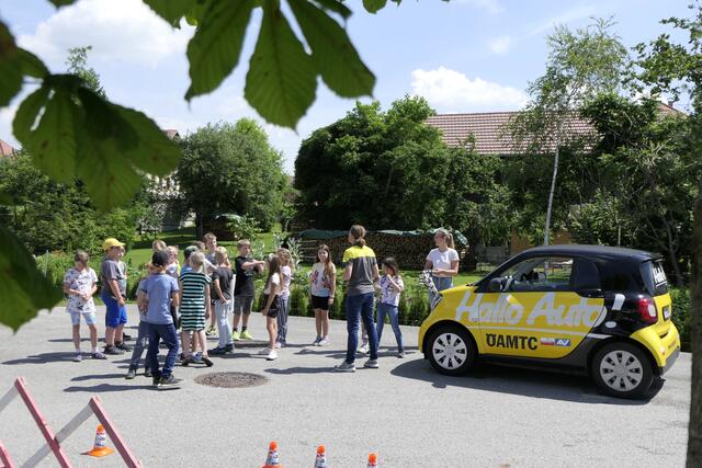 Foto: Schrödl Gerhard