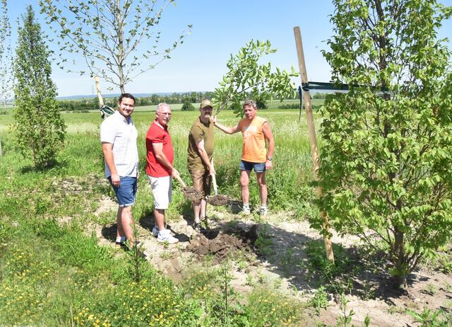 In der Gemeinde Zellerndorf wurden schon sehr viele Bäume und Sträucher gepflanzt. | Foto: Herbert Schleich