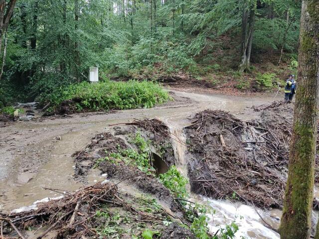 Teilweise gab es auch Überschwemmungen, wie hier in Gressenberg. | Foto: FF Gressenberg