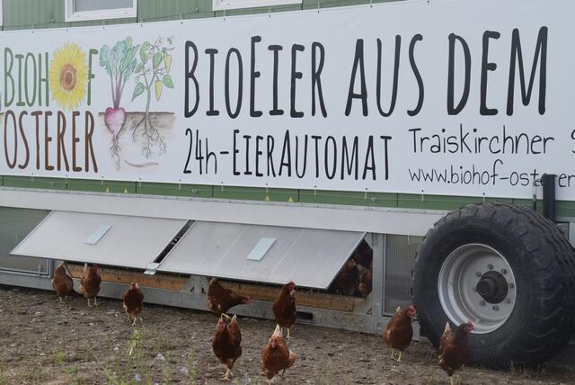 Foto: Katrin Pirzl