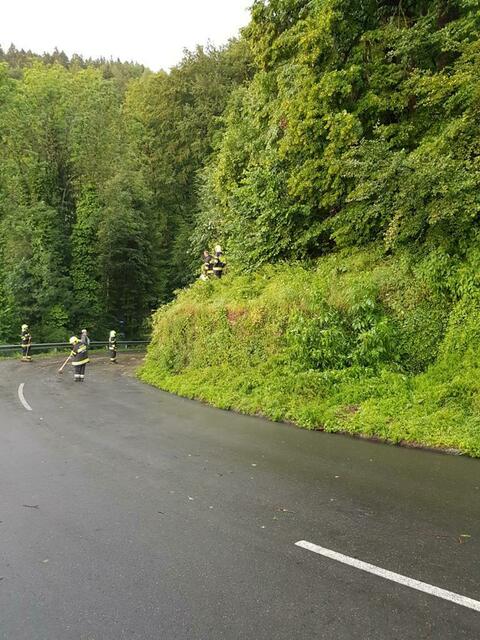 Foto: FF Wildbach