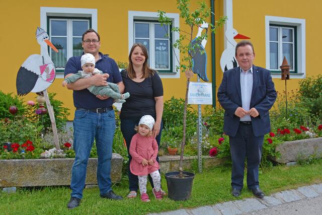 Franz und Christiane Edelmaier mit Xaver Franz und Florentina aus Friedersbach sind eine von knapp 30 Familien, die heuer einen Lebensbaum von Bürgermeister LAbg. ÖkR Franz Mold (rechts) bekamen. | Foto: Stadtgemeinde Zwettl