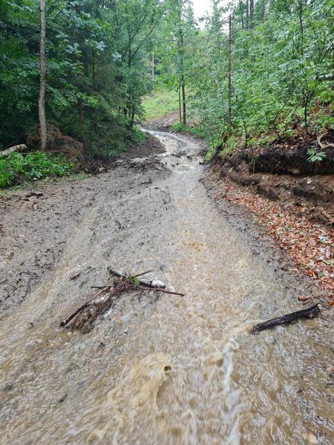 Foto: FF Gressenberg