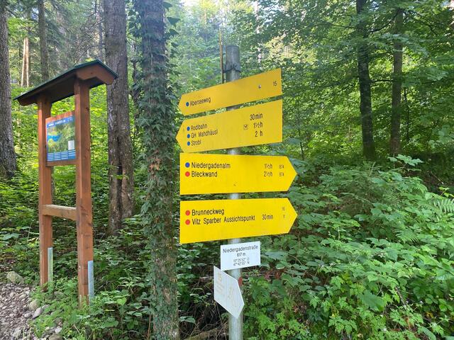 Einige Zeit lang geht es auf der Niedergadenstraße entlang, diese führt entweder zur Niedergadenalm, oder – Abzweigung zu gegebener Zeit auf den Weg 876 – direkt auf die Bleckwand.