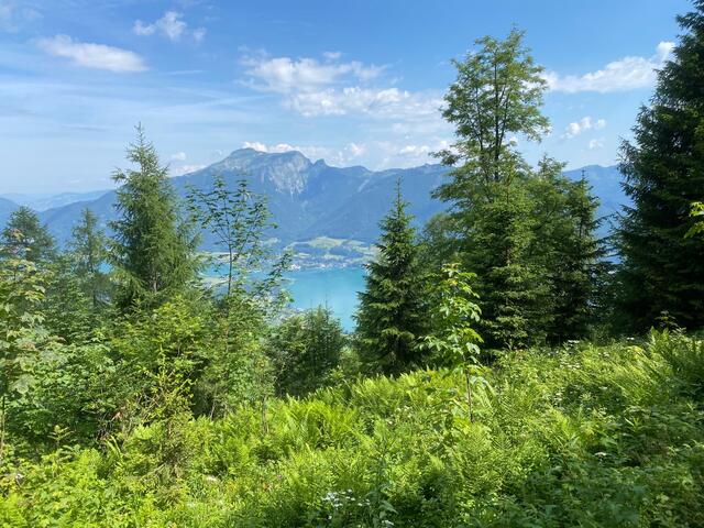 Schon bald kann man die ersten Blicke auf Wolfgangsee &amp; Co erhaschen.
