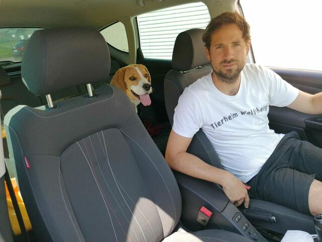 Tierheimleiter Florian Schlagholz sagt klar, dass man Hunde nie alleine im Auto lassen sollte. | Foto: Privat