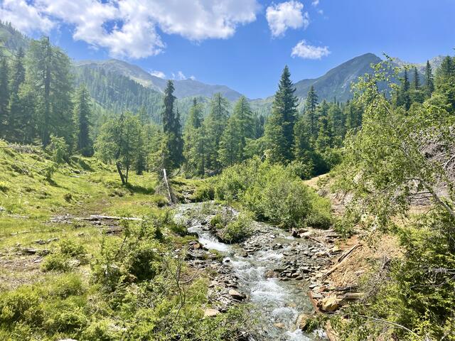 Am Umweg zur Fraganter Hütte...