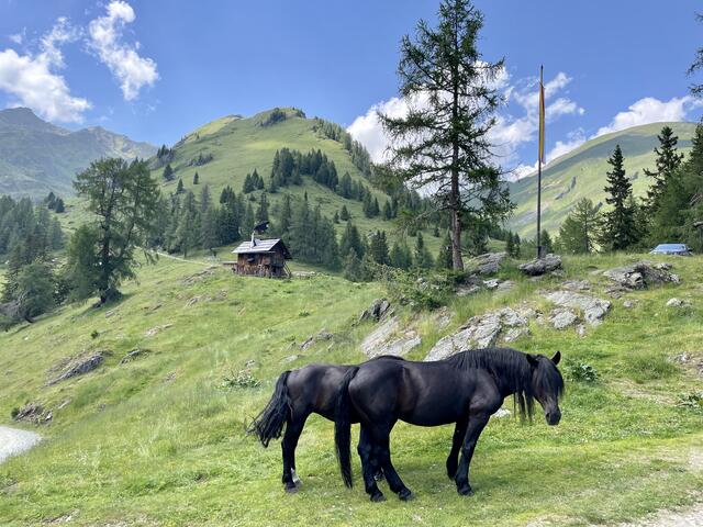 Dieser Anblick entschädigte für die Strapazen. 🥰