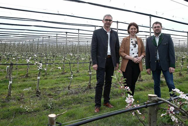 LK-OÖ-Präsident Franz Waldenberger, Agrar-Landesrätin Michaela Langer-Weninger und Obstbauer Franz Allerstorfer. (v.l.) | Foto: Land OÖ/Kauder