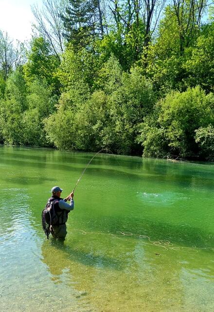 Waidgerechtes Fliegenfischen. | Foto: Fürlinger