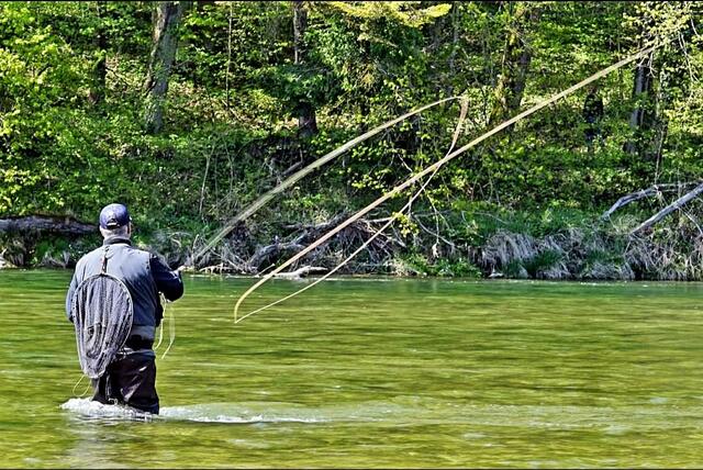 Fürlinger beim Fliegenfischen. | Foto: Fürlinger