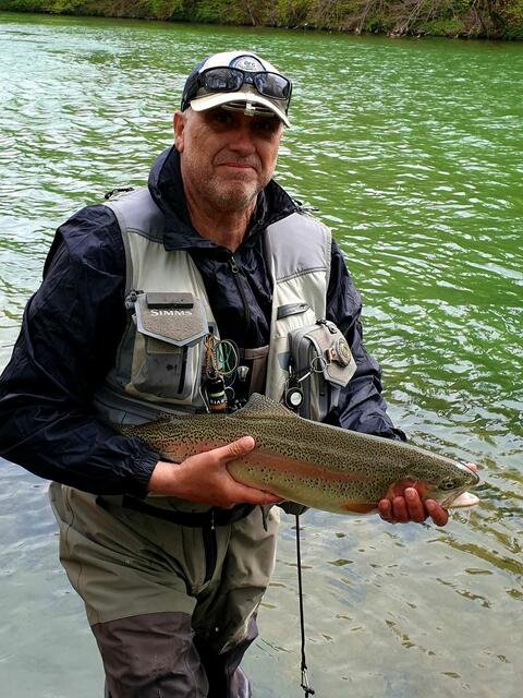 Nicht heimische Regenbogenforelle. | Foto: Fürlinger