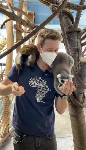 Im Haus des Meeres ist er der einzige Tierarzt. Im Tiergarten Schönbrunn ist er Tiel eines siebenköpfigen Tierarzt-Teams.  | Foto: Alina Töpfermann