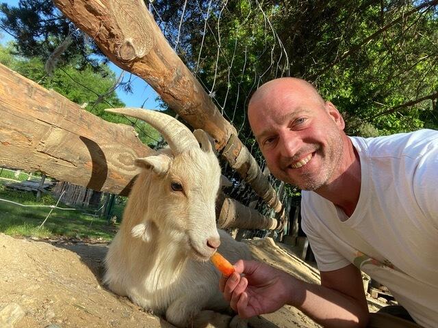 08:00 Uhr: Rocky, der blinde Ziegenbock, bekommt immer Spezialservice. Wir verwöhnen ihn mit Leckerlis und eigener Fütterung… | Foto: Andreas Nussbaumer