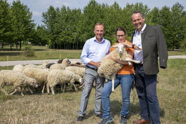 Schafbäuerin Christa Veits, Bezirksvorsteher Gerald Bischof (1.v.l.) und die Schafe am Kellerberg. | Foto: BV23/Genitheim