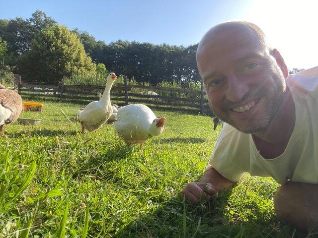 06:30 Uhr: Tagesstart. Die Gänse rauslassen und füttern. Wie man sieht hält sich die Dankbarkeit in Grenzen :) | Foto: Andreas Nussbaumer