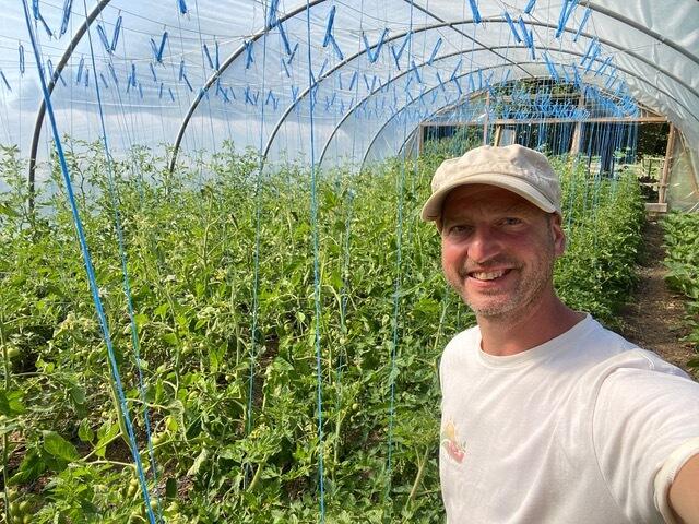 13:00 Uhr: Ausgeizen der 450 Tomatenpflanzen. Bei 35 Grad im Schatten erspart man sich den Eintritt für die Sauna!  | Foto: Andreas Nussbaumer