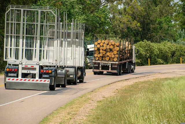 Ein Holztransporter kippte am Abend des 20. Juni auf der B311 um. | Foto: pixabay (Symbolfoto) 