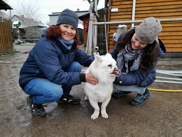 Nicole Staudenherz (links) auf dem Lebenshof in Kattowitz, Polen.