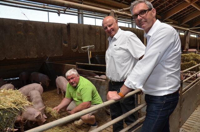 Schweinebauer Johannes Langmayr, Johann Schleder und LK OÖ PRäsident Franz Waldenberger. | Foto: LK OÖ