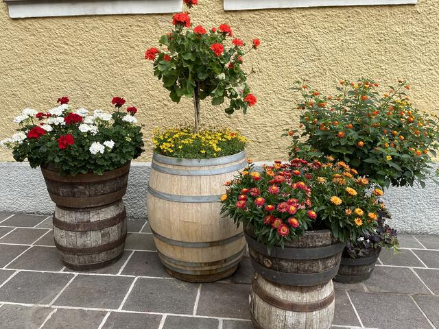 Auch außerhalb des Gartens wurde auf Blumen gesetzt.