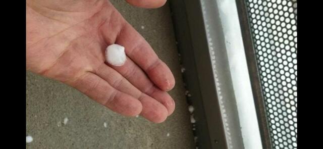 Ein heftiges Gewitter mit teilweise knopfgroßen Hagelkörnern ist Dienstagabend in Gnadenwald niedergegangen. | Foto: privat