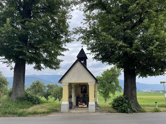 Die Bäume befinden sich direkt neben der Straße. Dazwischen liegt die Waltersdorf Kapelle.