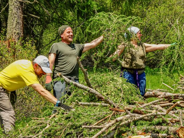 Bei so genannten "Schwenden" werden die Almen "gereinigt" | Foto: TVB Wipptal