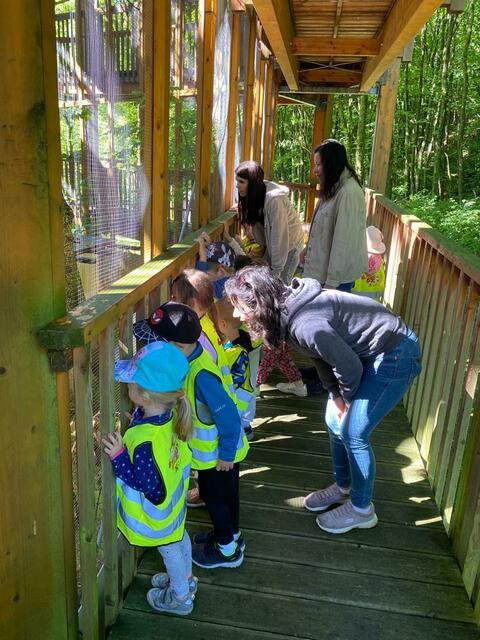 Foto: Naturpark Geschriebenstein