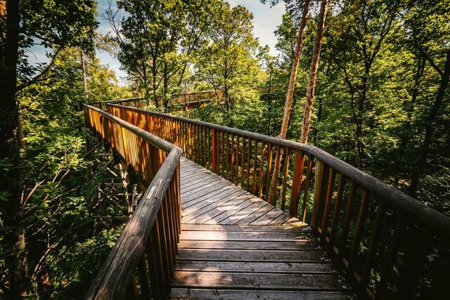 Foto: Naturpark Geschriebenstein