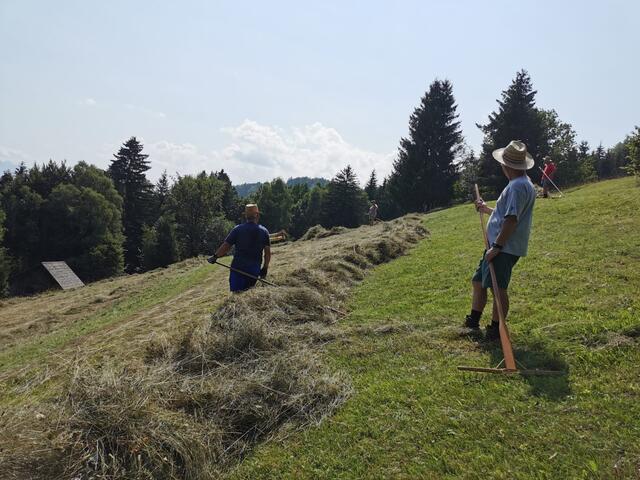 Heugabel-Helfer beim Heuen | Foto: Katrin Gstach