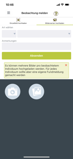 Unser App-Tipp der Woche "Naturbeobachtung.at" ist die App des Naturschutzbundes zur Beobachtung von Österreichs Fauna und Flora. Mit der App wird man Teil des Citizen Science-Projekts. | Foto: Screenshot
