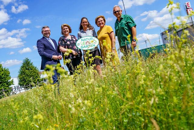 Mobilitätslandesrat Ludwig Schleritzko, Niederösterreich Bahnen-Geschäftsführerin Barbara Komarek, Natur im Garten-Regionalberaterin Daniela Tüchler, Bürgermeisterin Helga Rosenmayer und Waldviertelbahn-Dienststellenleiter Herbert Frantes beim Lokalaugenschein auf der Blumenwiese. | Foto: NB/Bollwein