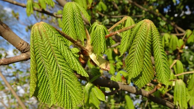 Foto: ©  Silvia Plischek