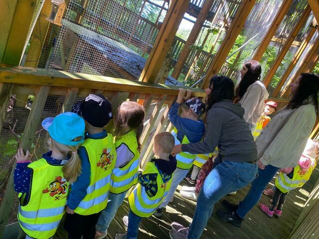 Foto: Naturpark Geschriebenstein