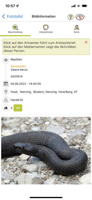 Unser App-Tipp der Woche "Naturbeobachtung.at" ist die App des Naturschutzbundes zur Beobachtung von Österreichs Fauna und Flora. Mit der App wird man Teil des Citizen Science-Projekts. | Foto: Screenshot
