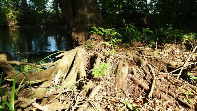 Foto: ©  Silvia Plischek