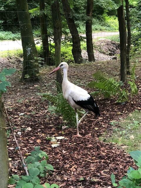 Foto: Naturpark Geschriebenstein
