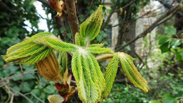 Foto: ©  Silvia Plischek